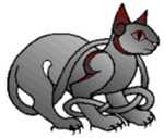 celtcat.jpg